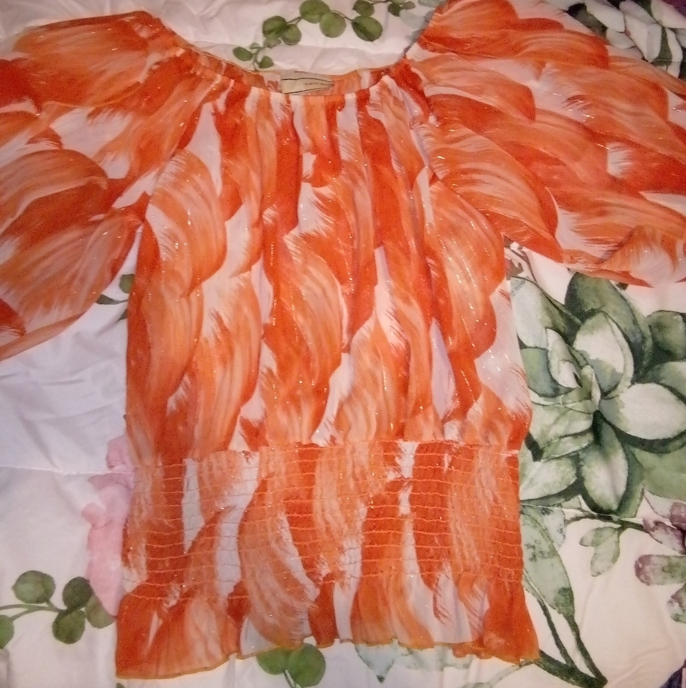 Woman's Shinny Sheer Dress Shirt